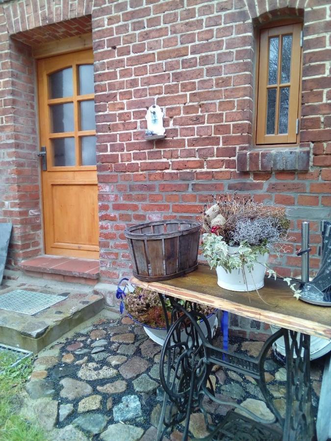 Ferienwohnung Fuchsberge Letschin 外观 照片