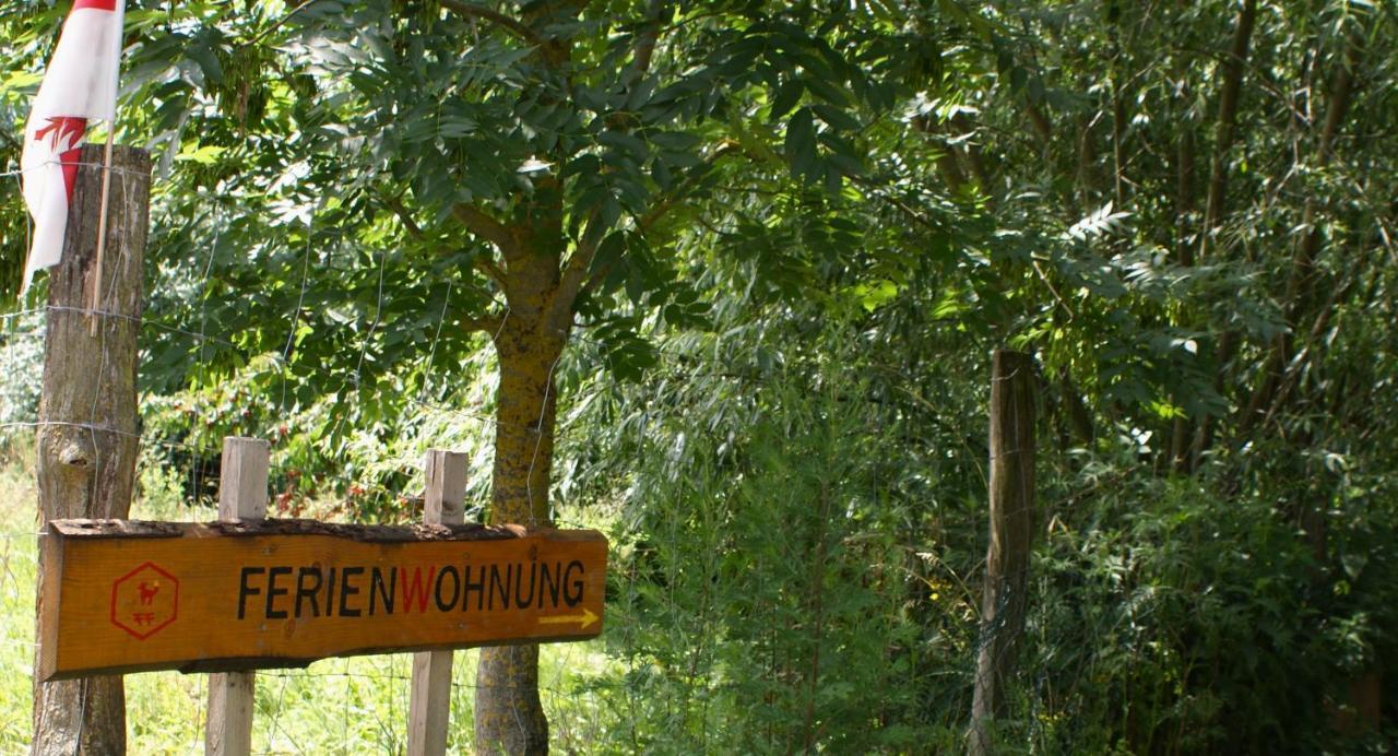 Ferienwohnung Fuchsberge Letschin 外观 照片