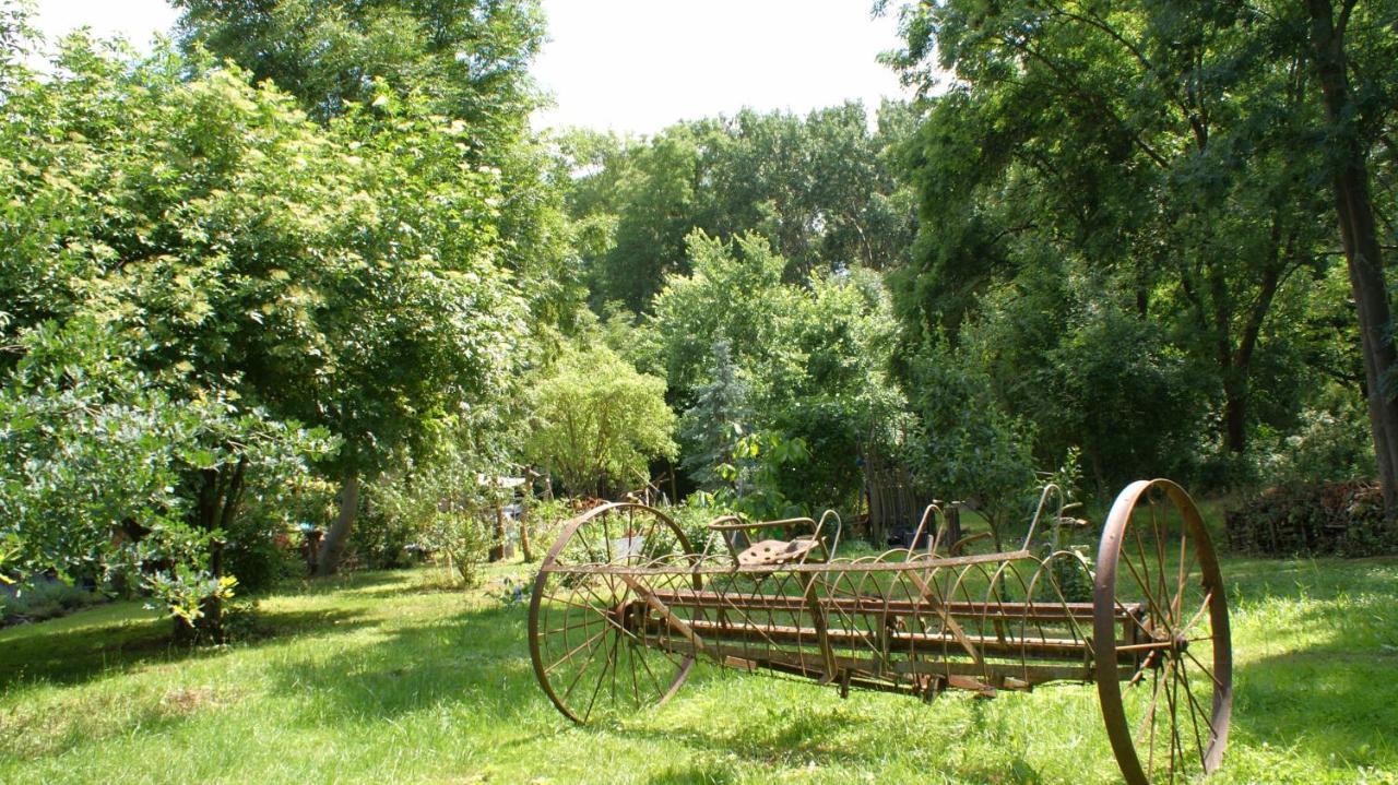 Ferienwohnung Fuchsberge Letschin 外观 照片